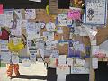 Playa Info Message Board 5